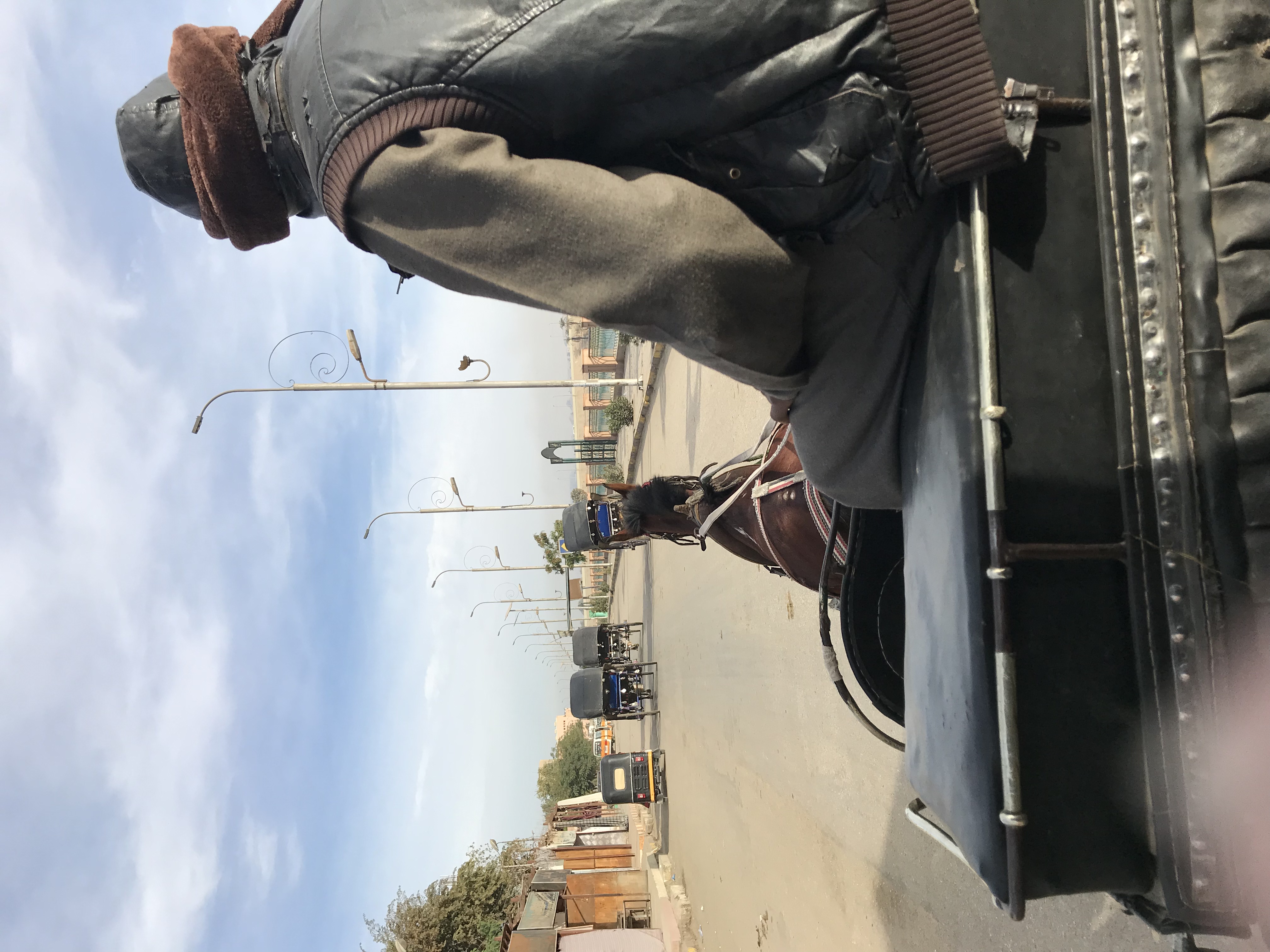 ./2018/16 - Egypt/11 - Edfu/IMG_4057.jpg